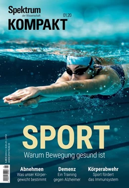 Abbildung von Spektrum Kompakt - Sport | 1. Auflage | 2020 | beck-shop.de