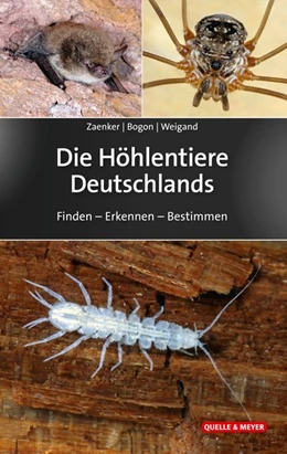 Abbildung von Zaenker / Bogon | Die Höhlentiere Deutschlands | 1. Auflage | 2020 | beck-shop.de