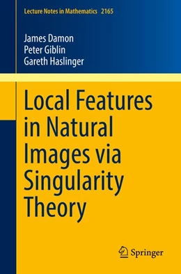 Abbildung von Damon / Giblin | Local Features in Natural Images via Singularity Theory | 1. Auflage | 2016 | beck-shop.de