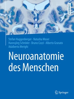 Abbildung von Huggenberger / Moser | Neuroanatomie des Menschen | 1. Auflage | 2018 | beck-shop.de