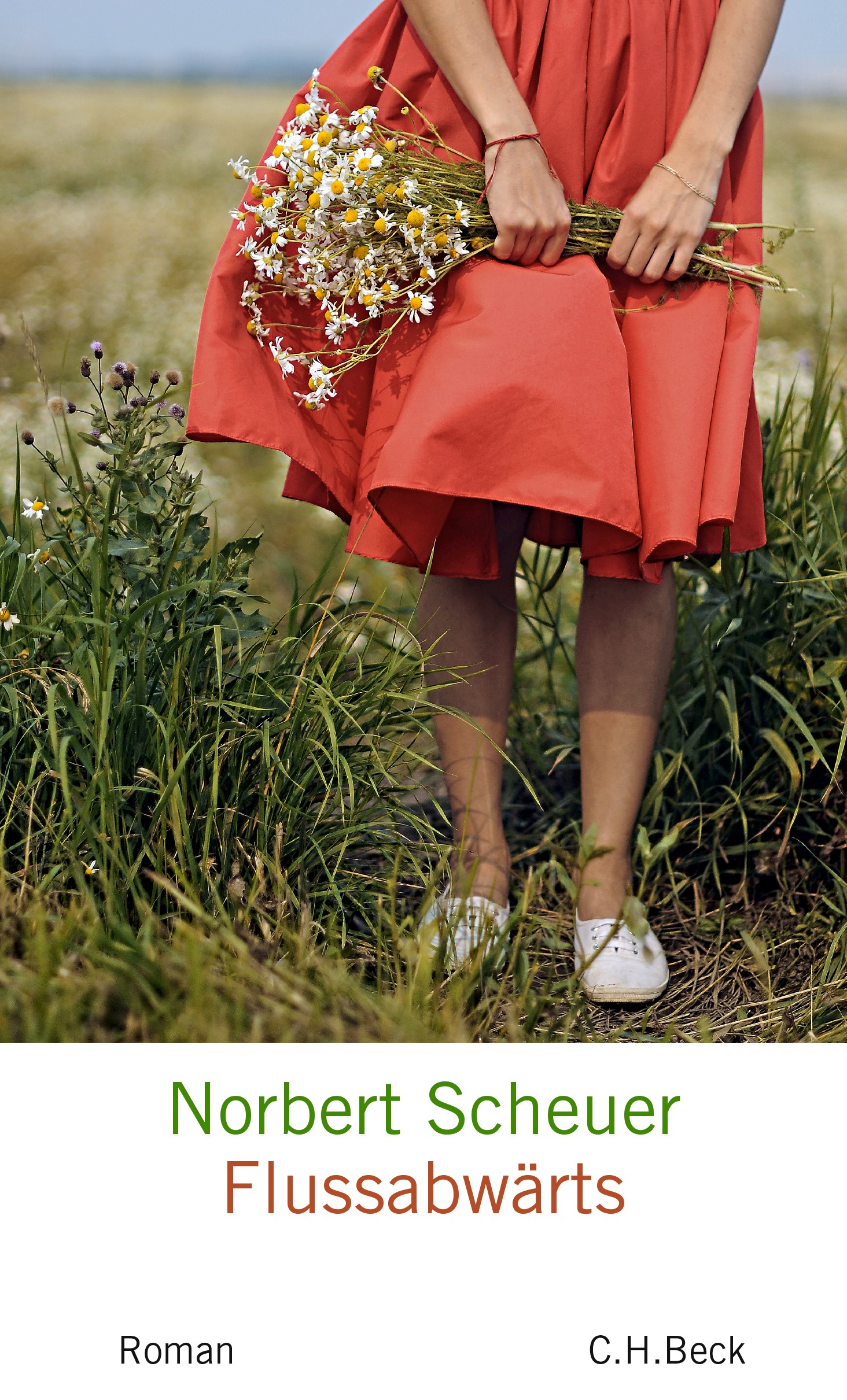 Cover: Scheuer, Norbert, Flußabwärts
