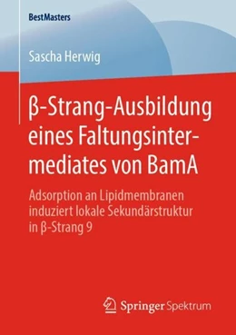 Abbildung von Herwig | ß-Strang-Ausbildung eines Faltungsintermediates von BamA | 1. Auflage | 2020 | beck-shop.de