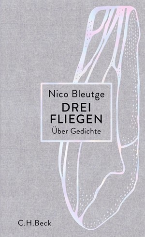 Cover: Nico Bleutge, Drei Fliegen