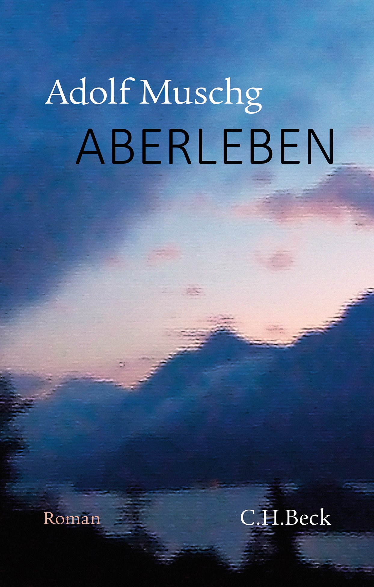 Cover: Muschg, Adolf, Aberleben