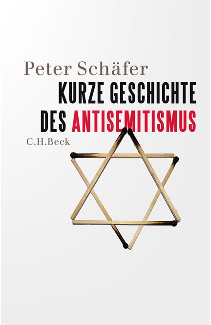 Cover: Peter Schäfer, Kurze Geschichte des Antisemitismus