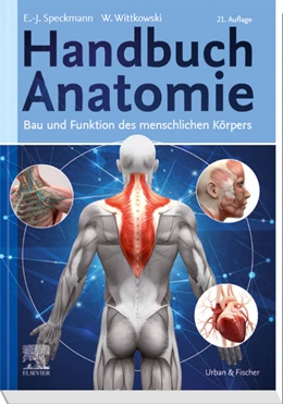 Abbildung von Speckmann / Wittkowski | Handbuch Anatomie | 21. Auflage | 2020 | beck-shop.de