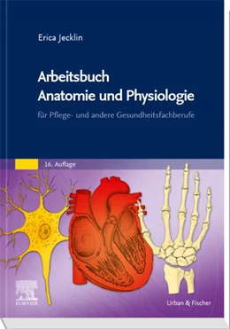 Abbildung von Brühlmann-Jecklin | Arbeitsbuch Anatomie und Physiologie | 16. Auflage | 2020 | beck-shop.de