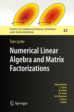 Abbildung von Lyche | Numerical Linear Algebra and Matrix Factorizations | 1. Auflage | 2020 | beck-shop.de