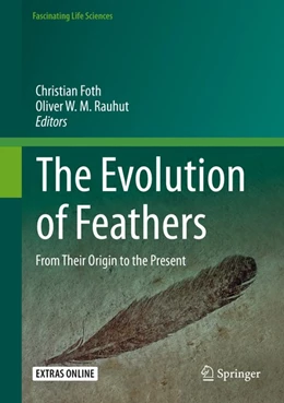 Abbildung von Foth / Rauhut | The Evolution of Feathers | 1. Auflage | 2020 | beck-shop.de