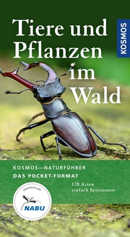 Abbildung von Wilhelmsen | Tiere und Pflanzen im Wald | 1. Auflage | 2020 | beck-shop.de