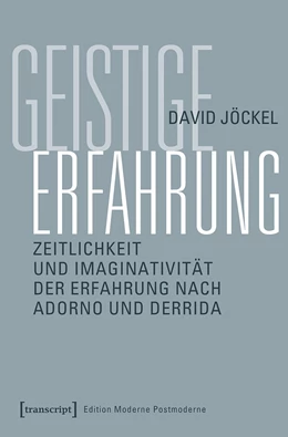 Abbildung von Jöckel | Geistige Erfahrung | 1. Auflage | 2020 | beck-shop.de