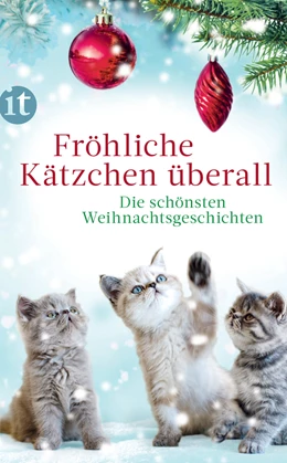 Abbildung von Dammel | Fröhliche Kätzchen überall | 1. Auflage | 2020 | beck-shop.de