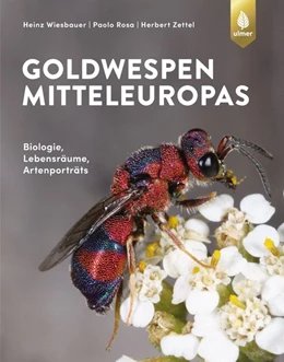 Abbildung von Wiesbauer / Rosa | Die Goldwespen Mitteleuropas | 1. Auflage | 2020 | beck-shop.de
