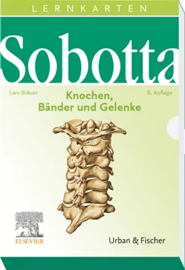 Abbildung von Bräuer | Sobotta Lernkarten Knochen, Bänder und Gelenke | 8. Auflage | 2020 | beck-shop.de