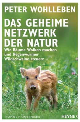 Abbildung von Wohlleben | Das geheime Netzwerk der Natur | 1. Auflage | 2020 | beck-shop.de