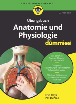 Abbildung von Odya / Dupree | Übungsbuch Anatomie und Physiologie für Dummies | 2. Auflage | 2021 | beck-shop.de
