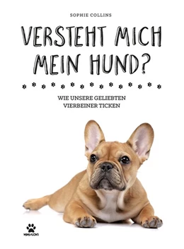 Abbildung von Collins | Versteht mich mein Hund? | 1. Auflage | 2020 | beck-shop.de