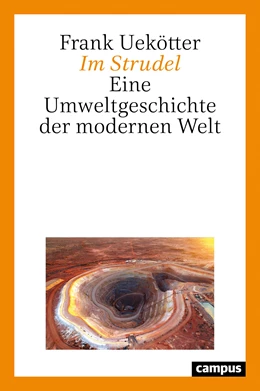 Abbildung von Uekötter | Im Strudel | 1. Auflage | 2020 | beck-shop.de