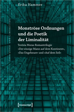 Abbildung von Hammer | Monströse Ordnungen und die Poetik der Liminalität | 1. Auflage | 2020 | beck-shop.de