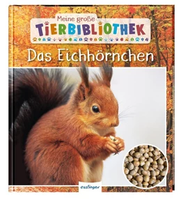Abbildung von Ledu-Frattini | Meine große Tierbibliothek: Das Eichhörnchen | 1. Auflage | 2020 | beck-shop.de