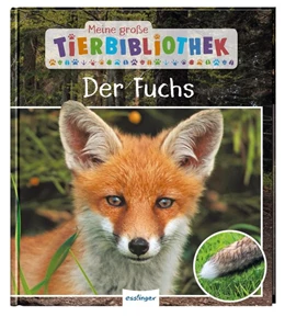 Abbildung von Havard | Meine große Tierbibliothek: Der Fuchs | 1. Auflage | 2020 | beck-shop.de