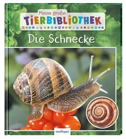 Abbildung von Starosta | Meine große Tierbibliothek: Die Schnecke | 1. Auflage | 2020 | beck-shop.de