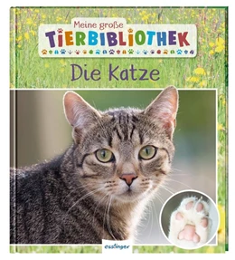 Abbildung von Ledu-Frattini | Meine große Tierbibliothek: Die Katze | 1. Auflage | 2020 | beck-shop.de