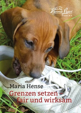 Abbildung von Hense | Grenzen setzen | 1. Auflage | 2020 | beck-shop.de