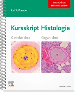 Abbildung von Faßbender | Kursskript Histologie | 1. Auflage | 2020 | beck-shop.de