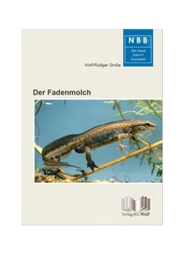 Abbildung von Große | Der Fadenmolch | 1. Auflage | 2020 | beck-shop.de