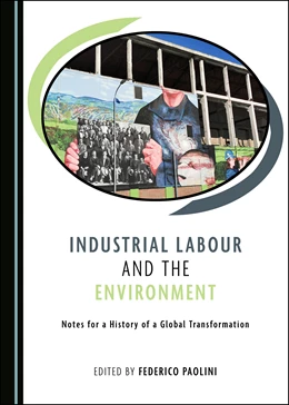 Abbildung von Paolini | Industrial Labour and the Environment | 1. Auflage | 2020 | beck-shop.de