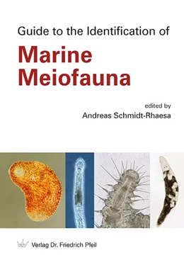 Abbildung von Schmidt-Rhaesa | Guide to the Identification of Marine Meiofauna | 1. Auflage | 2020 | beck-shop.de