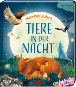 Abbildung von Davies | Mein Pop-up-Buch - Tiere in der Nacht | 1. Auflage | 2020 | beck-shop.de