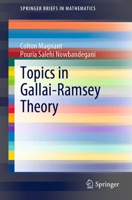 Abbildung von Magnant / Salehi Nowbandegani | Topics in Gallai-Ramsey Theory | 1. Auflage | 2020 | beck-shop.de