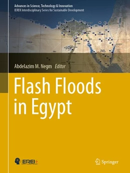 Abbildung von Negm | Flash Floods in Egypt | 1. Auflage | 2020 | beck-shop.de