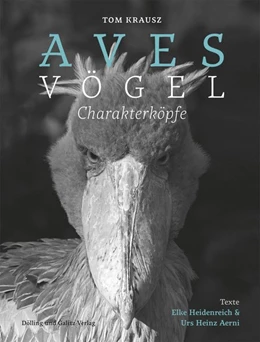 Abbildung von Aerni / Heidenreich | Aves | Vögel. Charakterköpfe | 1. Auflage | 2020 | beck-shop.de
