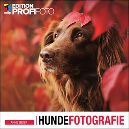 Abbildung von Geier | Hundefotografie | 1. Auflage | 2020 | beck-shop.de