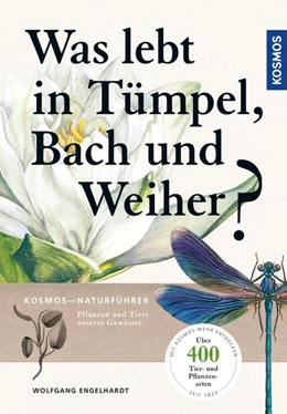 Abbildung von Engelhardt / Martin | Was lebt in Tümpel, Bach und Weiher | 1. Auflage | 2020 | beck-shop.de