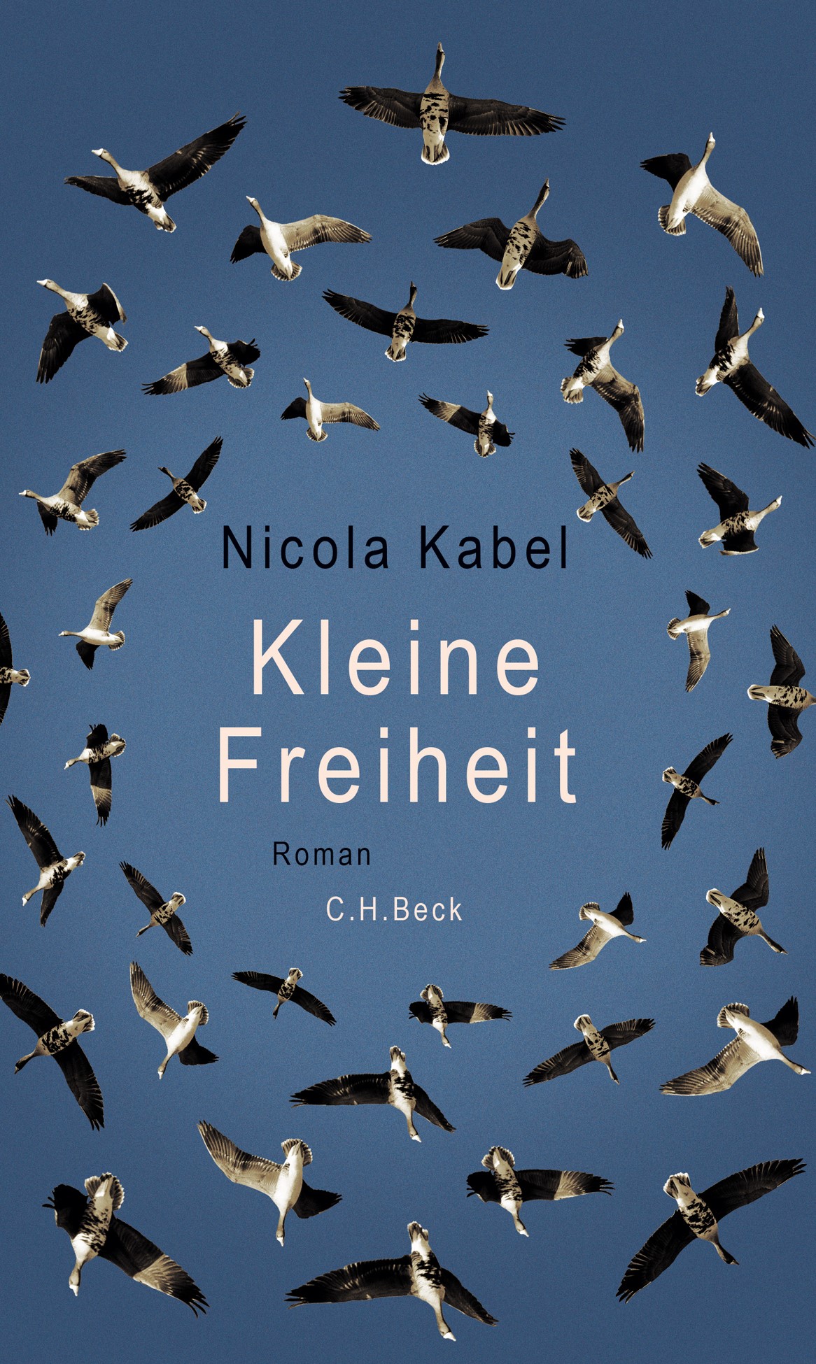 Cover: Kabel, Nicola, Kleine Freiheit