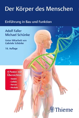 Abbildung von Faller / Schünke | Der Körper des Menschen | 18. Auflage | 2020 | beck-shop.de