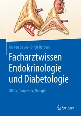 Abbildung von de Loo / Harbeck | Facharztwissen Endokrinologie und Diabetologie | 1. Auflage | 2020 | beck-shop.de