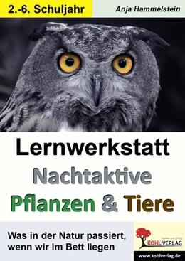 Abbildung von Hammelstein | Lernwerkstatt Nachtaktive Pflanzen und Tiere | 1. Auflage | 2017 | beck-shop.de