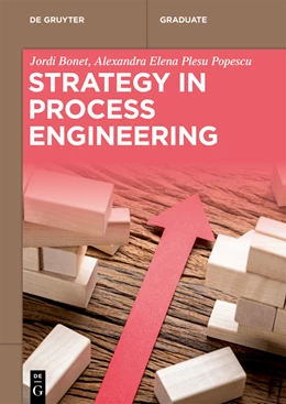 Abbildung von Bonet / Plesu Popescu | Strategy in Process Engineering | 1. Auflage | 2024 | beck-shop.de