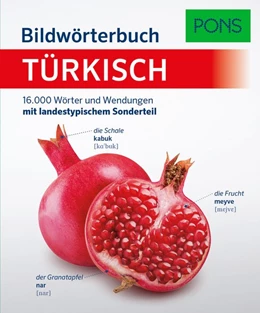 Abbildung von PONS Bildwörterbuch Türkisch | 1. Auflage | 2020 | beck-shop.de