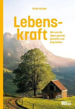 Abbildung von Köstler | Lebenskraft | 1. Auflage | 2021 | beck-shop.de