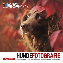 Abbildung von Geier | Hundefotografie | 1. Auflage | 2020 | beck-shop.de