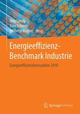 Abbildung von Lässig / Schütte | Energieeffizienz-Benchmark Industrie | 1. Auflage | 2020 | beck-shop.de