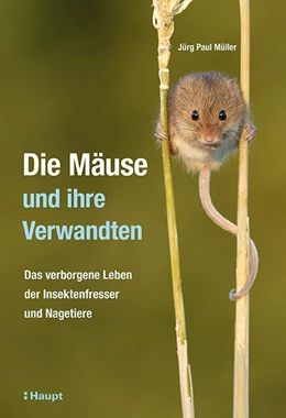 Abbildung von Müller | Die Mäuse und ihre Verwandten | 1. Auflage | 2020 | beck-shop.de