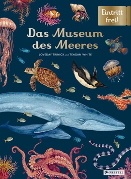 Abbildung von Trinick / White | Das Museum des Meeres | 1. Auflage | 2021 | beck-shop.de