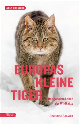 Abbildung von Sonvilla | Europas kleine Tiger | 1. Auflage | 2021 | beck-shop.de